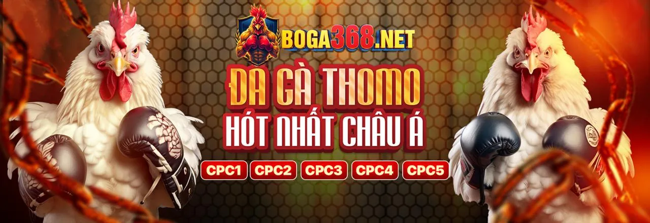 Hướng dẫn an toàn cá cược trực tuyến tại okfun casino