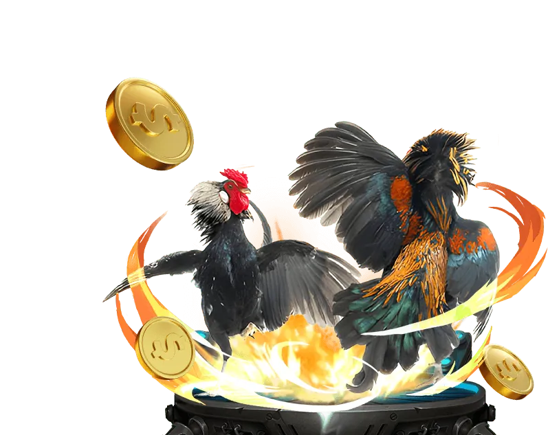 Các chương trình đối tác okfun casino